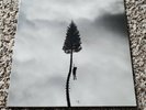 Manchester Orchestra A Black Mile To The Surface vinyl LP, Andy Hull, rare
