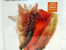 NAPOLI CENTRALE – MATTANZA – ORANGE – NUMBERED – RSD 2022 – LP