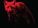 RSD 22 -  THE PRODIGY -  THE DAY IS MY ENEMY - RED VINYL  LP - ULTRA LIMITED