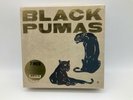 Black Pumas - 6-45rpm 7” Collector's Edition Box Set Record Store Day RSD 2022