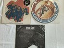 Meat Loaf Lynyrd Skynyrd Scorpions picture disc vinyl Bat Out Of Hell Freebird