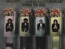Grand Funk Railroad - Born to Die Vinyl LP