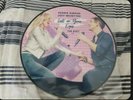 NEW RECORD STORE DAY 2022-  DEBBIE GIBSON JOEY MCINTIRE PICTURE DISC VINYL