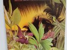 LONNIE LISTON SMITH LOVELAND VINYL LP ALBUM