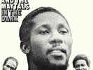 Toots And The Maytals - In The Dark (Reissue) (NEW VINYL LP)