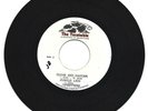 UPSETTERS - CLOAK AND DAGGER -JUNGLE LION - TABLE TURNING - CAVEMAN SKANK - 7''