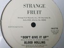 Blood Hollins-Don't Give It Up MINT  1976 Strange Fruit Disco Vocal/Instrumental
