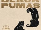 BLACK PUMAS - BLACK PUMAS COLLECTOR'S EDITION 7