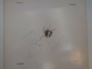 PRETTY THINGS LP 