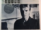 Sting 