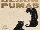 Black Pumas - Black Pumas [Collector's Edition 7