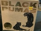 BLACK PUMAS - Black Pumas Collector's Edition (2022 RSD 6 x 7