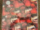 Thee Oh Sees - Floating Coffin - Split Color TLL Vinyl LP- Turntable -New -X/400