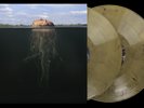 The Mars Volta De Loused In The Comatorium 2x LP VMP Gold Black Vinyl Me Please