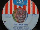 HEAR Cherry Slush 45 Don't Walk Away / I Cannot Stop You USA garage psych EX