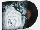 The Mountain Goats - All Eternals Deck LP Vinyl Record