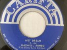 MAXWELL ROMEO Wet Dream BUNNY LEE Devil's Playground Max 45 Jamaica Rocksteady