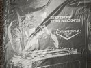 BUDDY EMMONS/EMMONS GUITAR INC. *RARE VINYL LP ON EMMONS RECORD COMPANY LABEL
