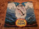 Steve Hillage - Fish Rising 1975 1st Press + virgin inner + lyric sheet VG+/VG+