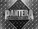 Pantera 'Reinventing The Steel' 2x12