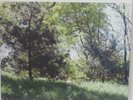 Cat Power-LP-Matador Records (You Are Free)-Gatefold Cover-Poster-200g-2003-VG+