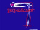 Deep Purple Purpendicular 180g 2LP Vinyle 2011 Musique On Vinyle MOVLP361
