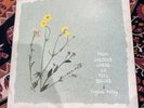 Virginia Astley From Gardens Where We Feel Secure UK 1983 Vinyl Rough Trade
