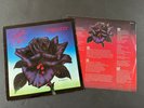 Thin Lizzy - Black Rose - UK Press - 1979 - 9102 032 - ULTRASONIC CLEANED EX