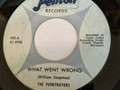 The Penetraters What Went Wrong Fenton Records Rare Garage