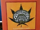 Brant Bjork & Low Desert Punk Band BLACK POWER FLOWER (2014/Austria - Napalm)