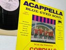 Acappella Blue-Eyed Soul with the Fabulous Cordials MINT MINUS Catamount  mc 114