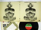 FLOWER TRAVELLIN 'BAND SATORI ATLANTIC P-8056A JAPAN VINYL LP