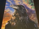 THE STRANGLERS - THE RAVEN VINYL LP 3D LENTICULAR COVER