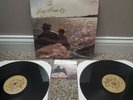 The Vindictives many moods 2xlp lookout records screeching weasel queers