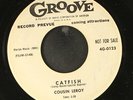 COUSIN LEROY: catfish / goin' back home GROOVE 7