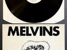 MELVINS Gluey Porch Treatments RARE 1987 FIRST PRESSING LP Vinyl Alchemy EX/VG+