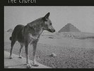 The Church - Priest = Aura (NEW 2 VINYL LP)