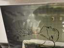 Copeland Beneath Medicine Tree Vinyl