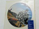 LP, Pink Floyd, Delicate Sound of Thunder, Sony 928.010 BRAZIL ONLY PICTURE DISC