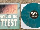 SURVIVAL OF THE FATTEST Compilation Store Edition Colored Vinyl SOLD OUT NOFX SE