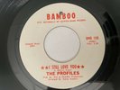 Northern Soul 45/ The Profiles 