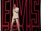 Elvis Presley Elvis (TV Special) UK LP Vinyl Album 1969 RD8011 RCA Victor VG