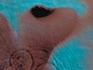 Pink Floyd Meddle - Vinyl Vinyl LP (New)