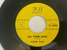 Blues Rocker 45/ Magic Sam 