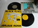 2 x Black Flag 12
