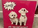 Are You Satisfied? by Slaves (Vinyl, 2015)