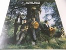 53852 - MOTHER EARTH - THE PEOPLE TREE - 1993 ACID JAZZ VINYL LP MADE IN ENGLAND