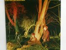 Echo and the Bunnymen Crocodiles Sire EX 1980 LP Winchester Pressing SRK 6096