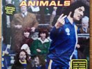 SUPER FURRY ANIMALS 'The Man Don't Give A Fuck' 7