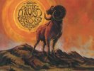 KINGS OF FROG ISLAND, The - VII - Vinyl (LP)